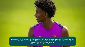 إصابة عضلية.. برشلونة يعلن غياب أليخاندرو بالدي بعد تمزق في العضلة الخلفية خلال المران الأخير